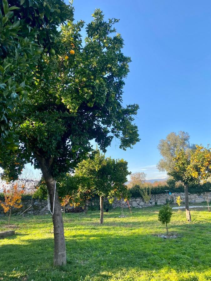 Quinta De Areias Bed & Breakfast Crespos Exterior photo